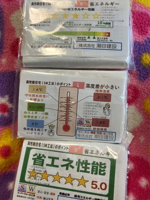 IMG_6994.jpeg