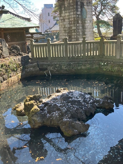 IMG_7005.jpeg