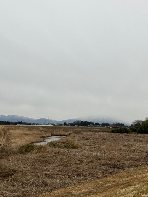 IMG_7143.jpeg