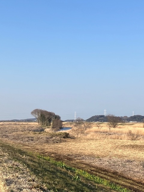 IMG_7362.jpeg